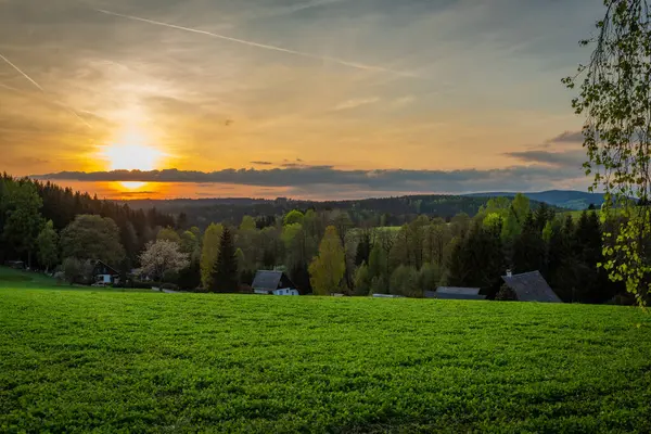 Cihak CZ 04 30 2025 yakınlarında güneşli bir akşamda yeşil taze ormanlar ve çayırlar ile Orlicke dağlarında renk ilkbahar manzarası