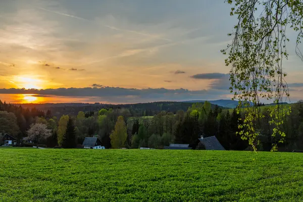Cihak CZ 04 30 2025 yakınlarında güneşli bir akşamda yeşil taze ormanlar ve çayırlar ile Orlicke dağlarında renk ilkbahar manzarası