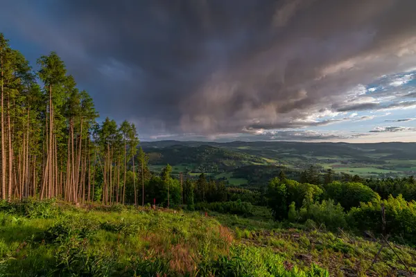 Bahar günbatımı renk tepe Svatobor kasabası yakınlarındaki taze manzara Akşam vakti güney batı Bohemya 'daki Susice
