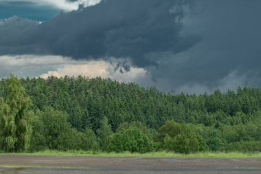 Fırtınadan sonra dağlarda yeşil orman Yazdan sonra taze yağmurla