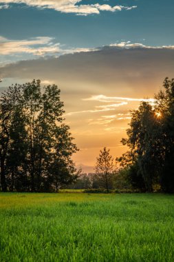 Yazın gün batımı Krkonose dağlarında sıcak tahıl tarlası ve yeşil çayır.