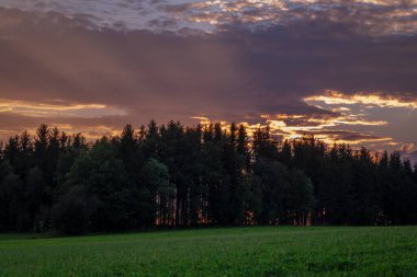 Yazın gün batımı Krkonose dağlarında sıcak tahıl tarlası