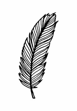 Tüy izole edilmiş siyah vektör çizen siluet el taslak kuş tüyü ana hatları çiziyor