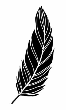 Tüy izole edilmiş siyah vektör çizen siluet el taslak kuş tüyü ana hatları çiziyor