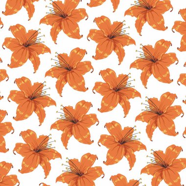 portakal çiçeği Kanada zambağı yaz çiçekleri şeffaf arka plan. Vektör illüstrasyonu