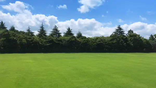 Parktaki mavi gökyüzünde beyaz bulutlar