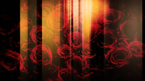 玫瑰的图像和左右移动的垂直线 — 图库照片