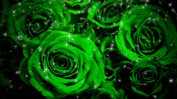 Зображення Блискучих Троянд Фоні — стокове фото