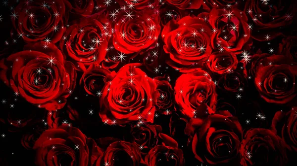 Bild Von Glitzernden Rosen Auf Einem Hintergrund — Stockfoto