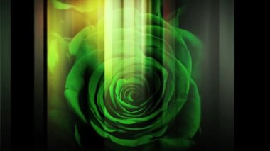 Bir gül resmi ve sağa sola hareket eden dikey bir çizgi.