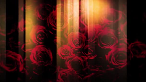 Obrázek Růže Svislé Čáry Která Pohybuje Vlevo Vpravo — Stock video