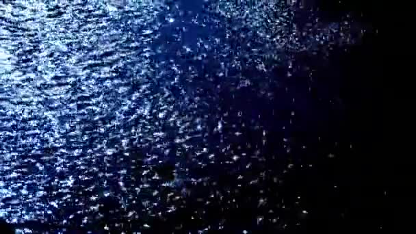 水面のキラキラしたイメージ — ストック動画