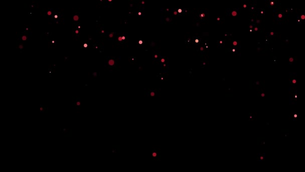 一个闪闪发光的红色圆形粒子倾泻而下的视频 S尺寸 — 图库视频影像