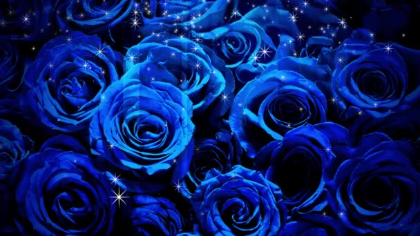 洒落在蓝色的玫瑰上 — 图库视频影像