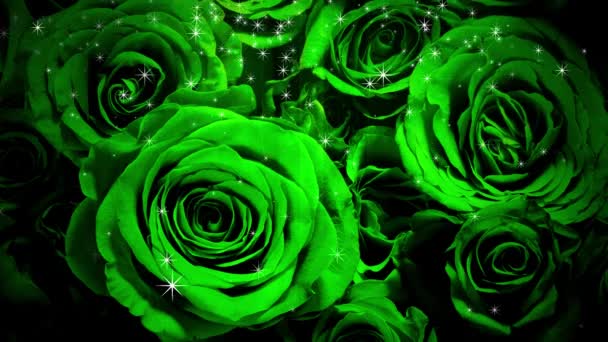 Yeşil Güllerin Üzerine Işıltı Dökülür — Stok video