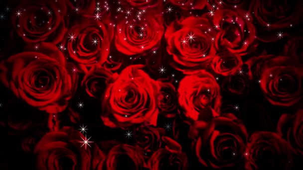 红色的玫瑰上闪烁着光芒 — 图库视频影像