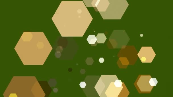 Hexagons Spring Colorful Background — Stock Video