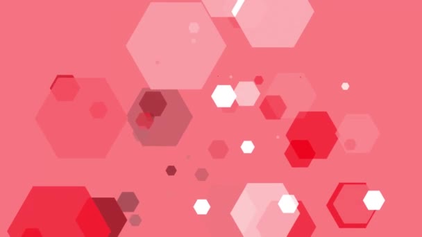 Hexagons Spring Colorful Background — Stock Video