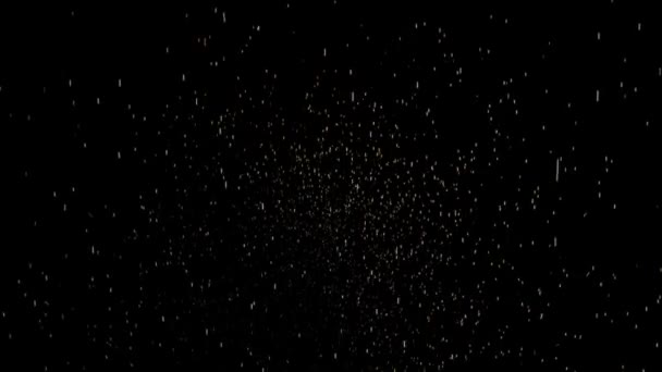 Parçacıklar Siyah Arkaplanda Ortaya Çıkar — Stok video