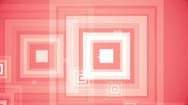 Squares Spring Colorful Background — Stock Video