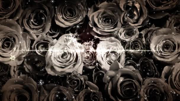 Crystal Snow Glitter Flutter Rose Background — Stock Video