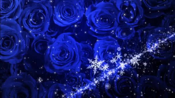 バラの背景に雪と輝きのフラッタの結晶 — ストック動画