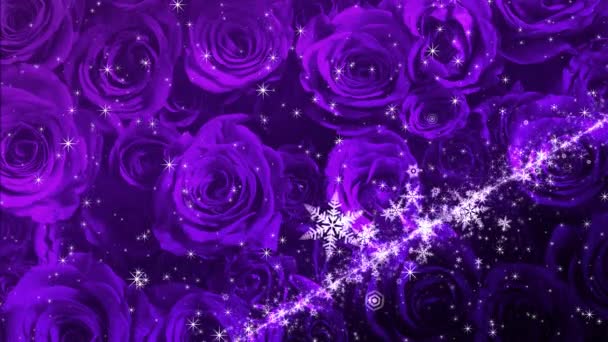 Cristal Neige Scintillement Sur Fond Rose — Video