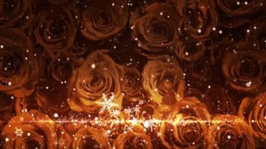 Kar kristali ve pırıl pırıl pırıl pırıl gül arka planda