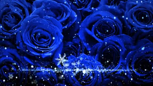 バラの背景に雪と輝きのフラッタの結晶 — ストック動画
