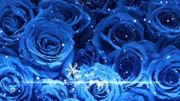 在玫瑰的背景上闪烁着雪花和闪光的水晶 — 图库视频影像