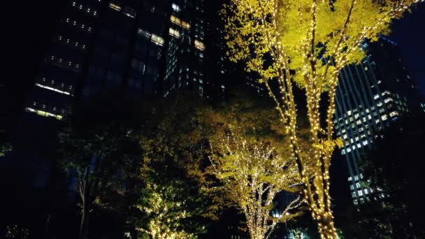 Przejdź Przez Świecące Iluminacje Miasta Nocy — Wideo stockowe