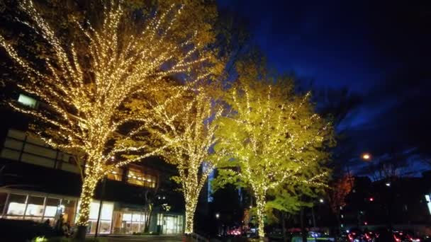Gehen Sie Nachts Durch Die Glitzernde Illumination Der Stadt — Stockvideo