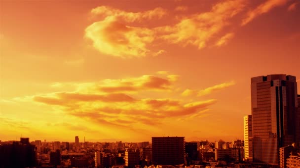 Video Sky Clouds City Buildings Sunset — Video Stock