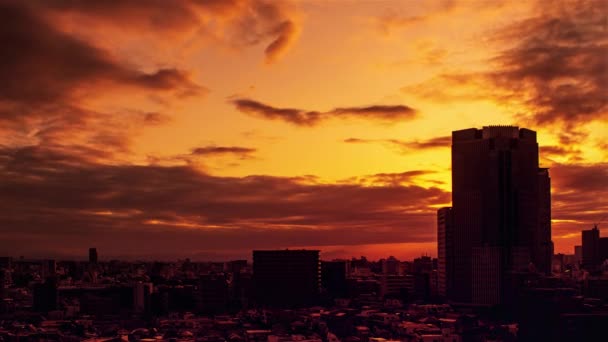 Video Sky Clouds City Buildings Night View Sunset — Vídeo de stock