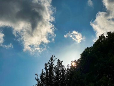 gökyüzü, bulutlar ve ağaçlar