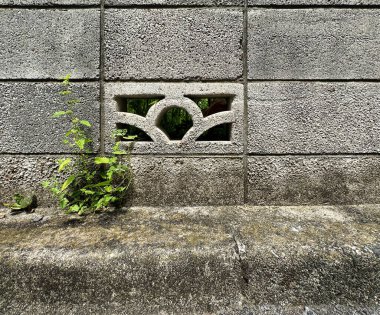 Blok duvar, duvar, beton, doku, desen, çimen