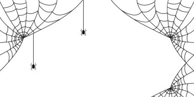 Ağ üzerinde siyah örümcek