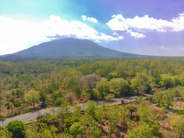 stock image Aerial shot of road between the forests in National Park Situbondo, East Java