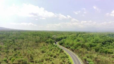 Baluran Ormanı arasındaki Banyuwangi 'ye giden Situbondo yolunun havadan görüntüsü..