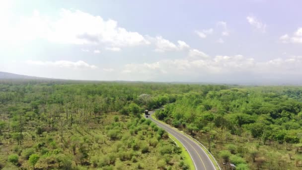 Pemandangan Udara Jalan Situbondo Banyuwangi Antara Hutan Baluran — Stok Video