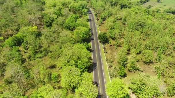 Pemandangan Udara Jalan Situbondo Banyuwangi Antara Hutan Baluran — Stok Video