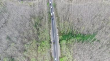 Mojokerto, Endonezya 'da karayolu ile güzellik ormanı manzarasının hava görüntüsü.