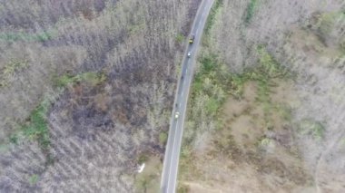 Mojokerto, Endonezya 'da karayolu ile güzellik ormanı manzarasının hava görüntüsü.