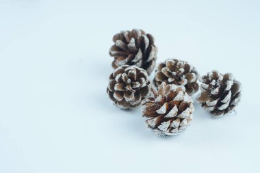 Beyaz zemin üzerinde izole edilmiş yapay kar ile dekoratif çam kozalakları seçili odaklanma