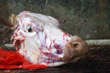 Geleneksel et pazarında taze derili inek kafası. Situbondo, Doğu Java. Endonezya 'da. Sokak fotoğrafı.