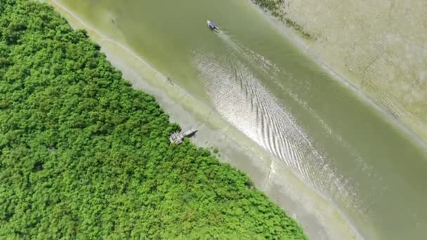 Letecký Pohled Pláž Mangroves Lodí Plachtění Romokalisari Surabaya Indonésie — Stock video