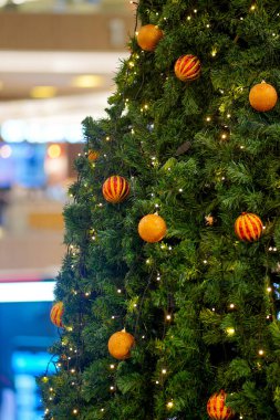 Noel ağacını kapat. Arkadaki Bokeh. Seçici odaklanma. Odaklanmamış