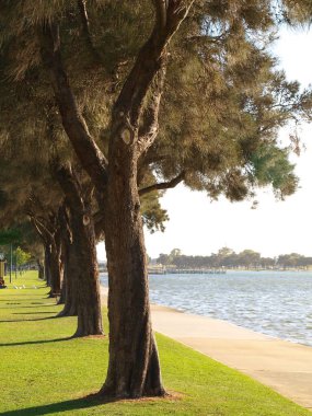 Batı Avustralya 'da, Mandurah' da gün batımında ağaçlara karşı ateş edilmiş..