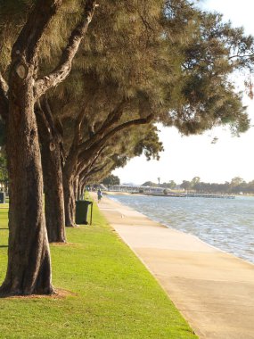Batı Avustralya 'da, Mandurah' da gün batımında ağaçlara karşı ateş edilmiş..