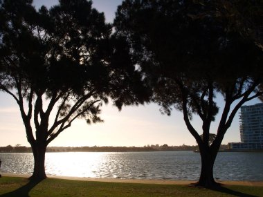 Batı Avustralya 'da, Mandurah' da gün batımında ağaçlara karşı ateş edilmiş..